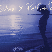 Sumo x Pettinato
