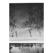 Meltwater In Early Spring