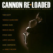 Cannon Re-Loaded