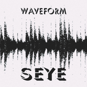 Waveform (Laptop mic Demo) - Single