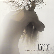 Everything Is Cold by Lycia