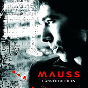 Narcissique by Mauss