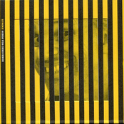 Stroke: Songs For Chris Knox