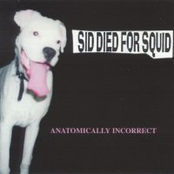 Anatomically Incorrect