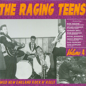 The Raging Teens, Vol. 4