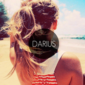 Falling In Love by Darius