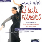 el baile flamenco vol 05