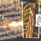 Performing the Heimlich on an Ouroboros