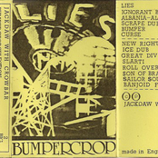 Bumpercrop Selection