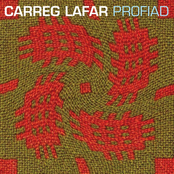 Profiad (Experience)