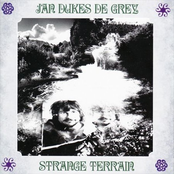 Darker Shade Of Grey by Jan Dukes De Grey