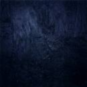 Plutopia 2009 Performance Piece