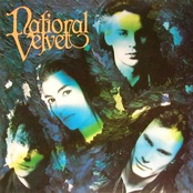 Flesh Under Skin by National Velvet