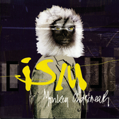 Monkey Underneath by Ism