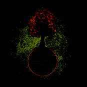 Izah / Fire Walk with Us