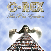 The Rex-Erection