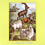 The Warmth of Spring