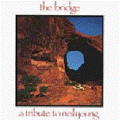 The Bridge: A Tribute to Neil Young