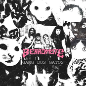 Gang dos Gatos