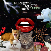 Mariee Sioux: Perfect As Cats: a tribute to The Cure