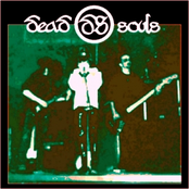 Live Collection