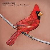 Sons Of Privilege by Alexisonfire