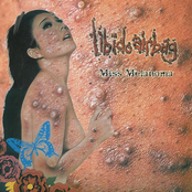 Libido Airbag - Ambidextrous Amok Marathon