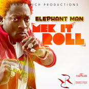 Mek It Roll Riddim Instrumental by Elephant Man