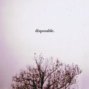 disposable.