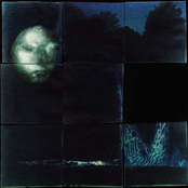 Dove Ellis: Pale Song / Love Is