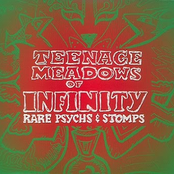 Galactic Zoo Dossier No. 7: Teenage Meadows of Infinity [Rare Psychs & Stomps]