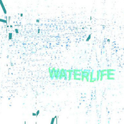 Waterlife