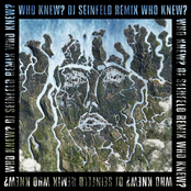 Who Knew? (DJ Seinfeld Remix) - Single