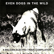 Even Dogs in the Wild