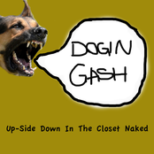 dogin gash