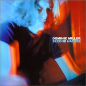 Lullaby To An Anxious Child by Dominic Miller