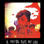 A Phyton Bite My Soul