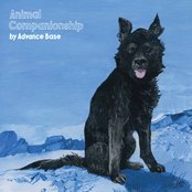 Advance Base - Animal Companionship Artwork