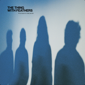 The Thing with Feathers: Sundays in the South