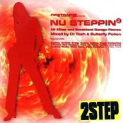Nu Steppin Vol. 2 (CD 1) Butterfly Potion