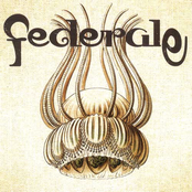 Transcendental Lunch by Federale