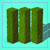 TURF