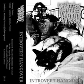 Introvert Hangover