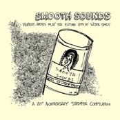 Smooth Sounds: The Future Hits Of Wckr Spgt Shrimper 20th Anniversary