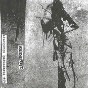 Where The Vulture Gathers