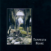 Wolves and Cathedrals