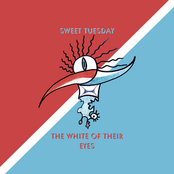 The White of Their Eyes