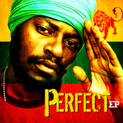 Ganja Spliff by Perfect