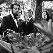 Sérgio Mendes & Brasil '66