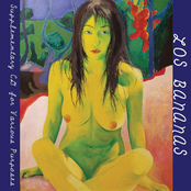 Supplementary CD for Various Purposes